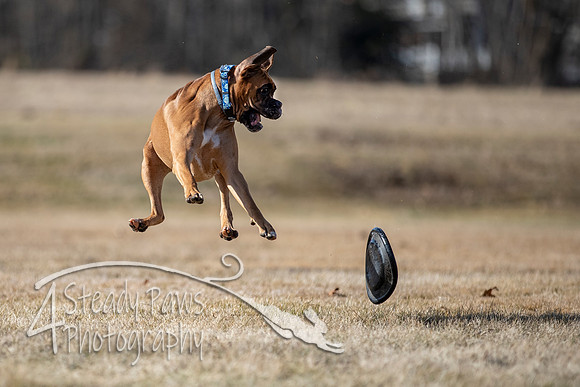 2020FebDiscLeague_0729