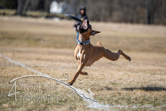 2020FebDiscLeague_0714