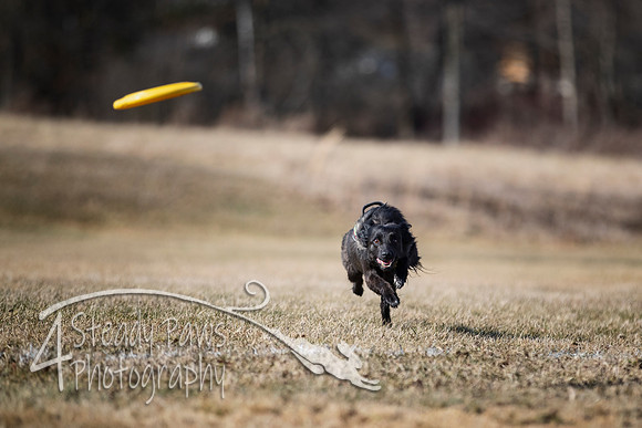 2020FebDiscLeague_0689