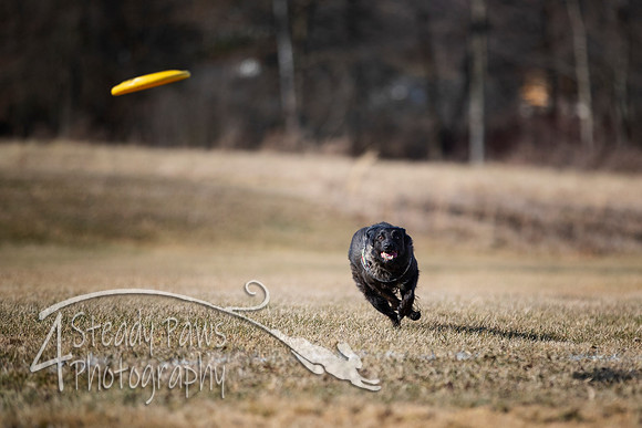 2020FebDiscLeague_0679