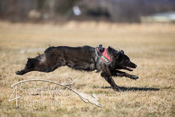 2020FebDiscLeague_0659