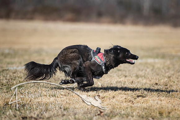 2020FebDiscLeague_0657