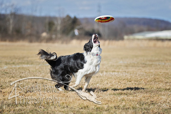 2020FebDiscLeague_0617