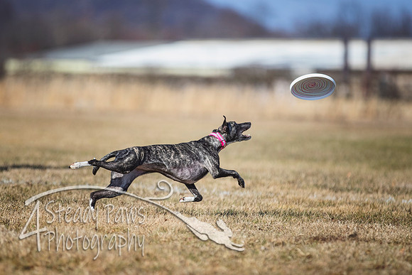 2020FebDiscLeague_0604