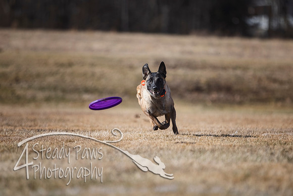 2020FebDiscLeague_0559