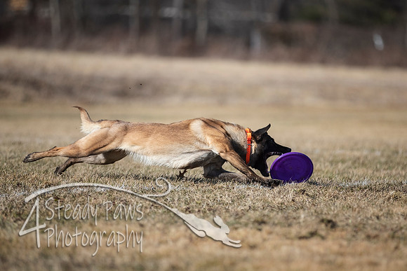 2020FebDiscLeague_0535