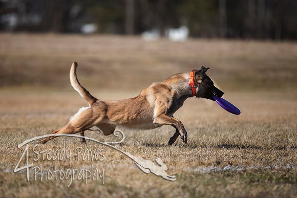 2020FebDiscLeague_0513