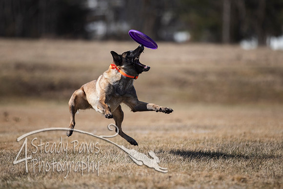 2020FebDiscLeague_0517