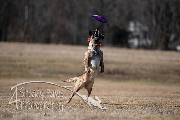 2020FebDiscLeague_0503