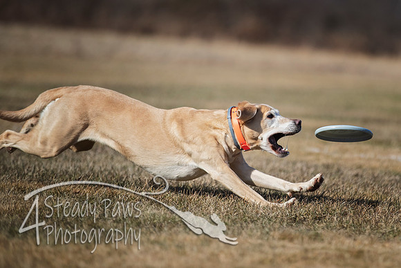 2020FebDiscLeague_0460