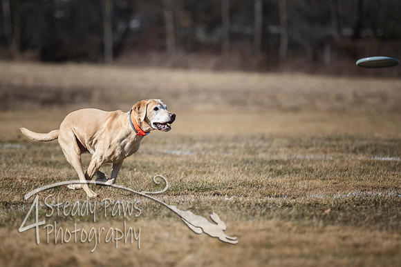 2020FebDiscLeague_0447