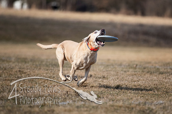 2020FebDiscLeague_0441
