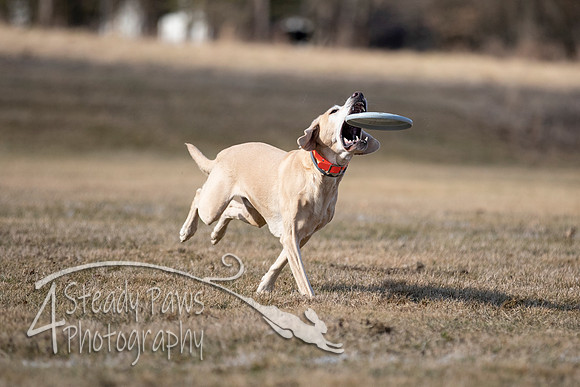 2020FebDiscLeague_0440