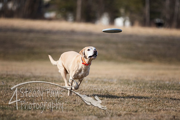 2020FebDiscLeague_0429