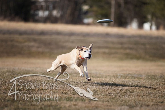 2020FebDiscLeague_0433