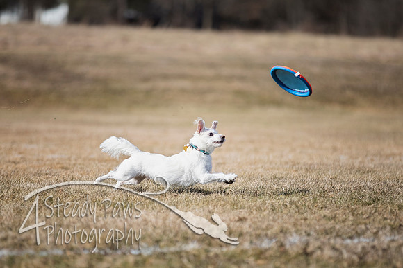 2020FebDiscLeague_0262