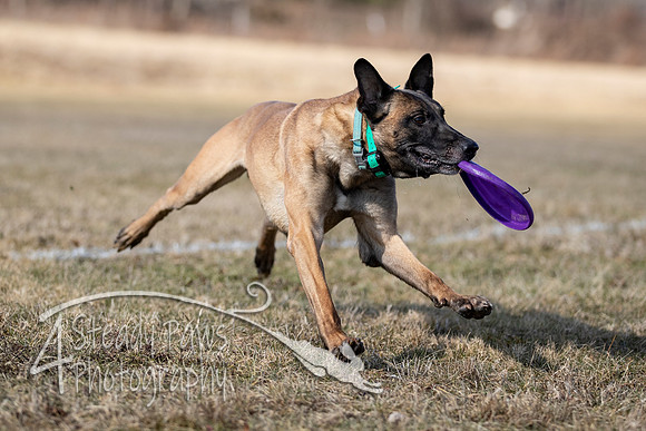 2020FebDiscLeague_0189