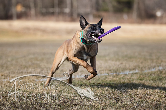 2020FebDiscLeague_0191