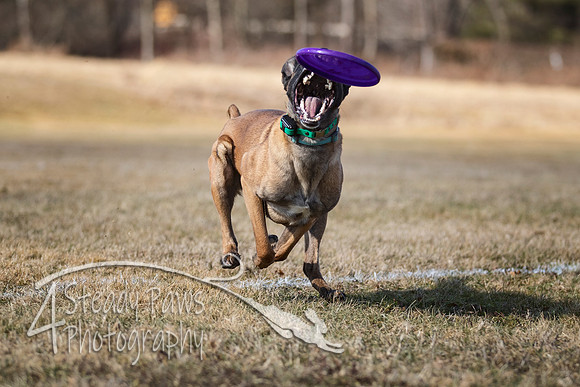 2020FebDiscLeague_0188