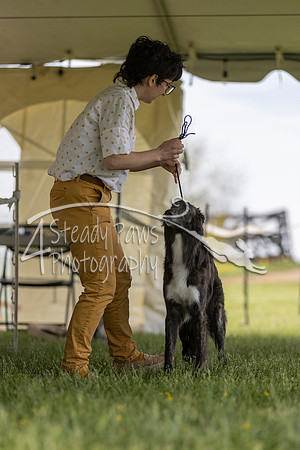 SSSShow1_226