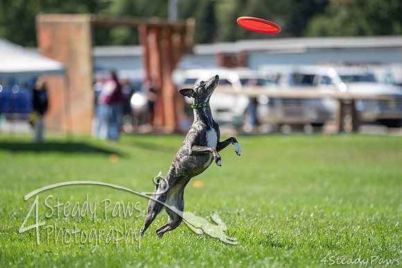 2020DiscChampionship_2109