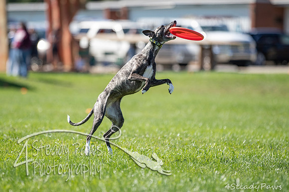 2020DiscChampionship_2103