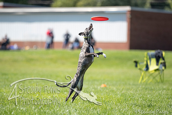 2020DiscChampionship_2085