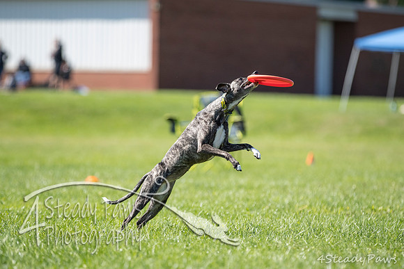 2020DiscChampionship_2094