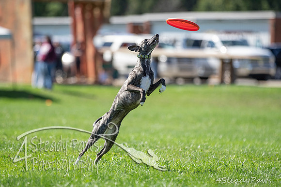 2020DiscChampionship_2106
