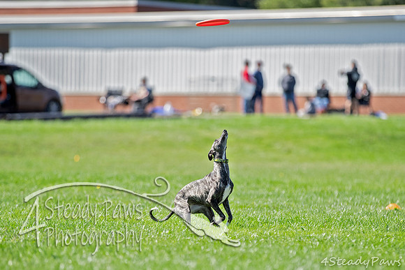 2020DiscChampionship_2067