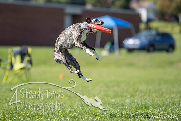 2020DiscChampionship_1979