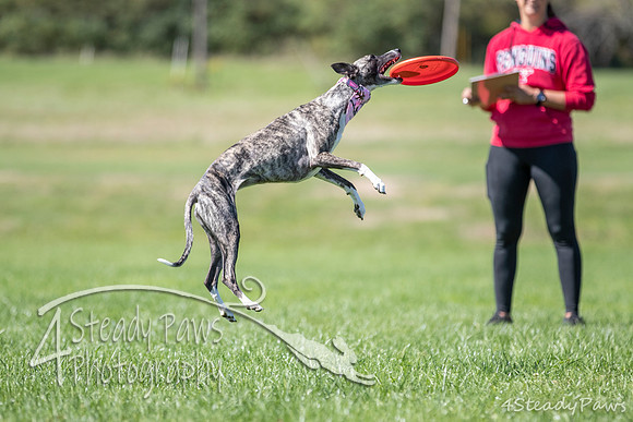 2020DiscChampionship_1957