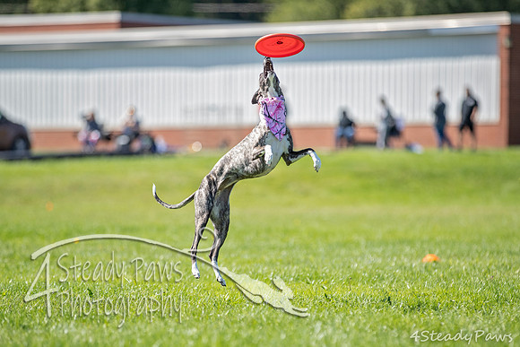 2020DiscChampionship_1949