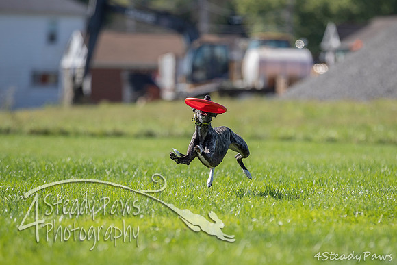 2020DiscChampionship_1233