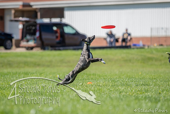 2020DiscChampionship_1227