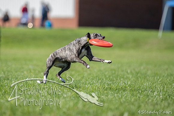 2020DiscChampionship_1213