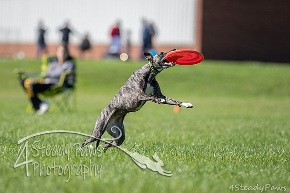 2020DiscChampionship_1218