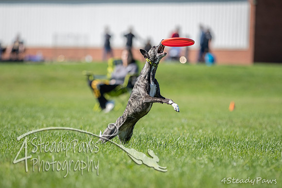 2020DiscChampionship_1221