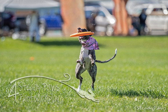 2020DiscChampionship_1106