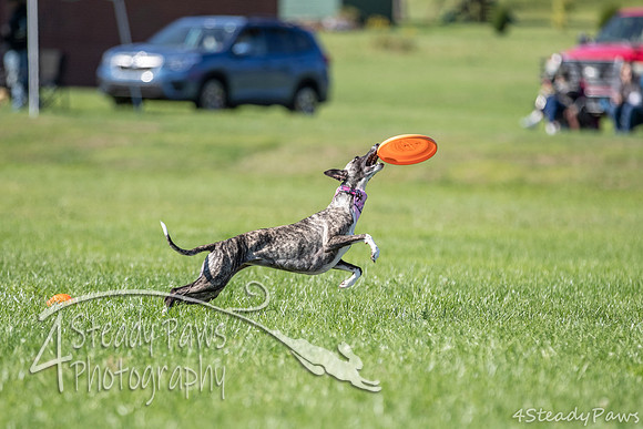 2020DiscChampionship_1101