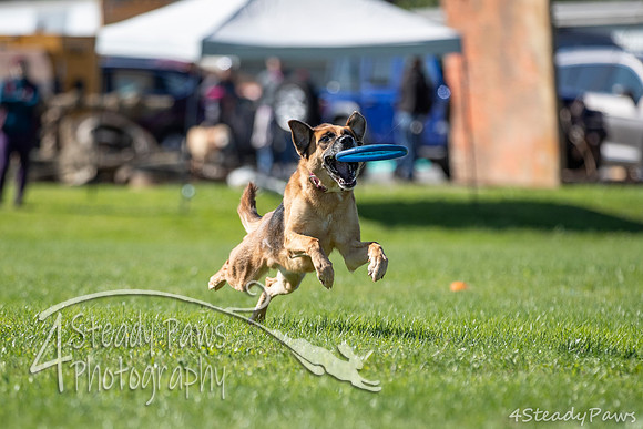 2020DiscChampionship_1009