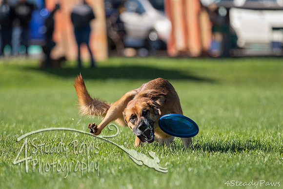 2020DiscChampionship_0071