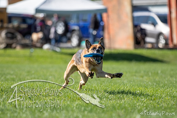 2020DiscChampionship_1015