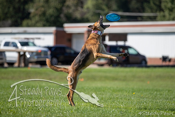 2020DiscChampionship_1019
