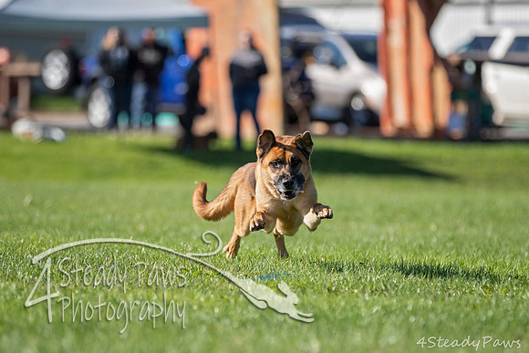 2020DiscChampionship_0073