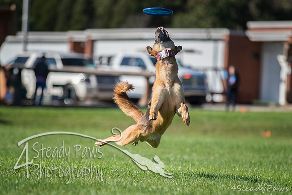 2020DiscChampionship_0061