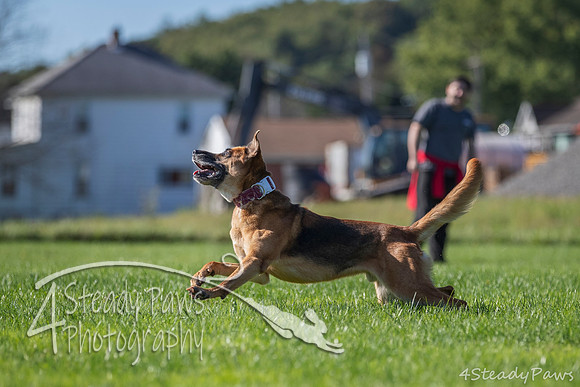 2020DiscChampionship_0039