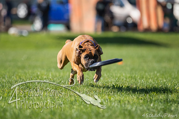 2020DiscChampionship_0104