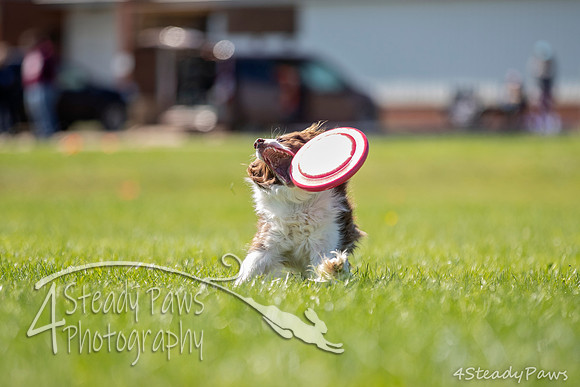 2020DiscChampionship_2761
