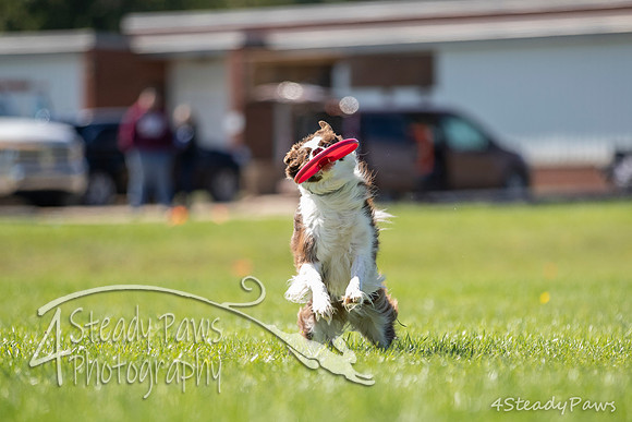 2020DiscChampionship_2749